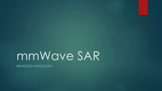 mmWave SAR