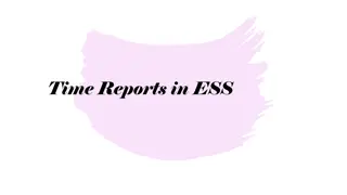 Time Reports and Leave Entry Overview