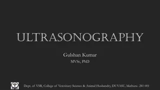 Ultrasonography
