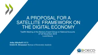 Proposal for a Satellite Framework on the Digital Economy