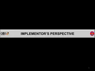 Implementor's Perspective on Project Development and Issues