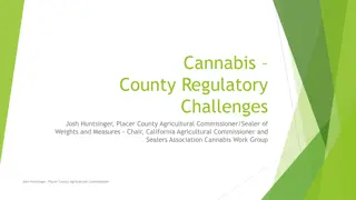 Cannabis County Regulatory Challenges