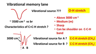 Vibrational Memory Lane: IR Spectroscopy Insights