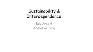 Sustainability &  Interdependance