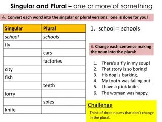 Singular and Plural Mastery