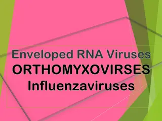 Orthomyxoviruses: Influenza Virus Overview