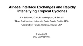 Air-Sea Interface Dynamics in Tropical Cyclones