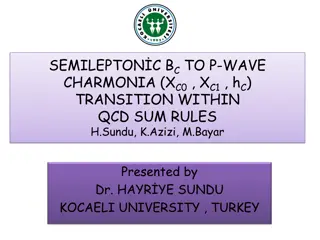 Study of Bc Meson Decay Channels and Spectroscopy