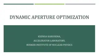 DYNAMIC APERTURE OPTIMIZATION