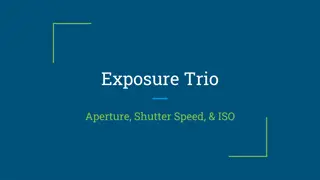 Exposure Trio
