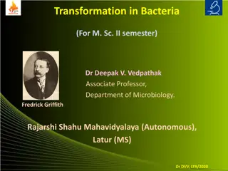 Transformation in Bacteria