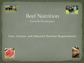 Beef Nutrition and Growth Promoters: Achieving Optimal Growth