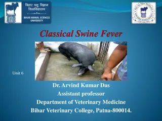 Hog Cholera - A Veterinary Perspective