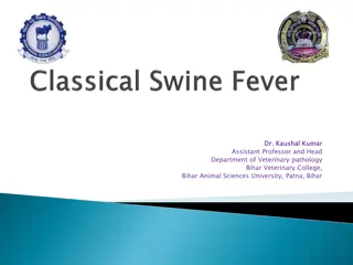 Swine Fever: A Viral Disease in Swine Production