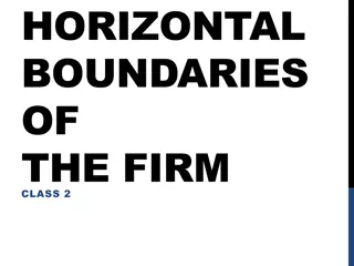 Horizontal Boundaries in Firm Economics