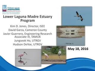 Lower Laguna Madre Estuary Program Overview