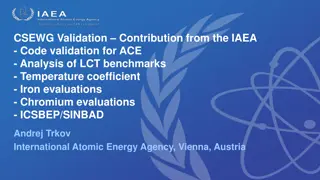 IAEA Contributions: ACE Code Validation & Analysis of LCT Benchmarks