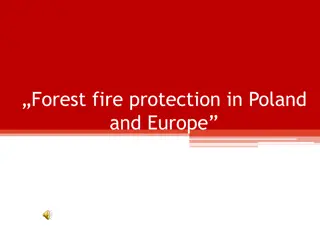 Forest Fire Protection in Poland and Europe