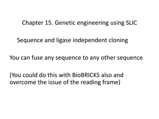 Genetic Engineering Using SLIC Sequence and Ligase Independent Cloning