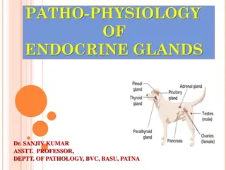 Patho-Physiology of Endocrine Glands