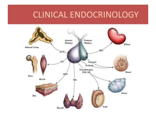 CLINICAL ENDOCRINOLOGY
