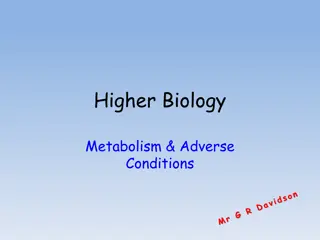 Higher Biology