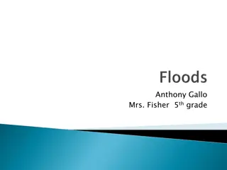 Floods: Causes, Impacts, and Management