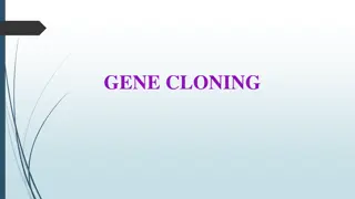 GENE CLONING