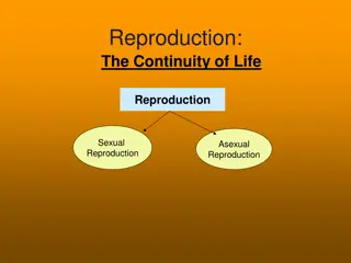 Reproduction: The Continuity of Life - Sexual and Asexual Reproduction