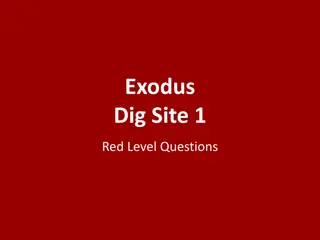 Exodus Dig Site 1 Red Level Study