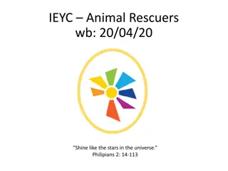 Animal Rescuers - Exciting Animal Activities for Children