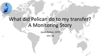 Pelican Data Transfer Monitoring