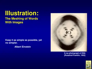 Illustration: The Meshing of Words With Images