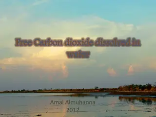 Dissolved Carbon Dioxide in Water