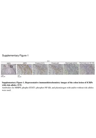 Correlation Analysis on Colon Lesions and Diseases