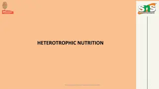 HETEROTROPHIC NUTRITION