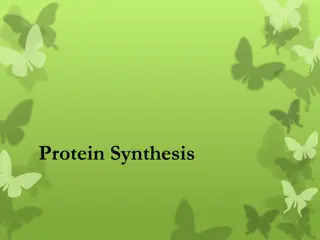 Protein Synthesis