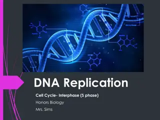 DNA Replication