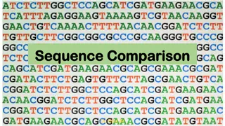 Sequence Comparison