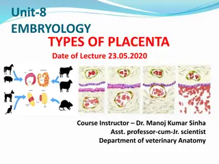 Types of Placenta in Embryology Classification