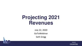 Projecting 2021 Revenues Overview