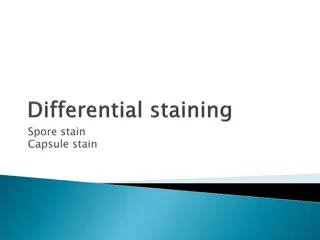Microbial Staining Techniques