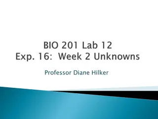 Identification of Unknown Microorganisms Exploration