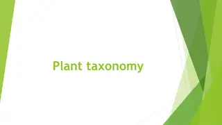 Plant Taxonomy: Description, Identification, Nomenclature, Classification