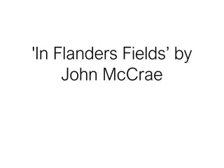 The Symbolism Behind Poppies in Flanders Fields
