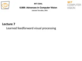 Learned Feedforward Visual Processing Overview