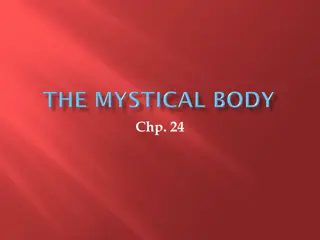 Mystical Body of Christ