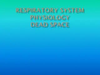 Quality of Care for Children and Young People on Long-Term Ventilation
