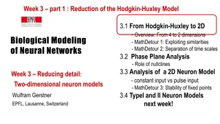 Reduction of Hodgkin-Huxley Model to 2D Neuron Dynamics