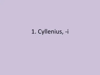 Ancient Words Illustrated